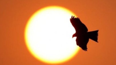 Hindistanda Sıcaklar 430 Can Aldı