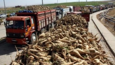 10 milyon kişi seçim sonrası işsiz