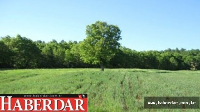 BELEDİYE ARSA SATIN ALARAK GÜÇLENİYOR