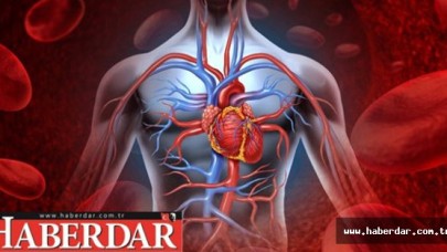 Kanserde Yeni Umut Işığı: İmmünoterapi