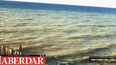 Silivride Deniz Kirliliği Sorunu