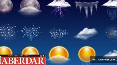 İnsanlar Ne Tercihte Bulunurlar?