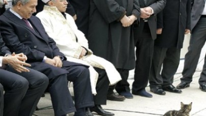 Gözaltılar hoş değil