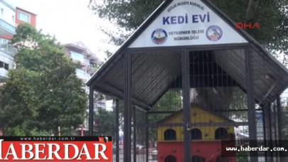 Sokak Kedilerine 3 Katlı Villa Barınak