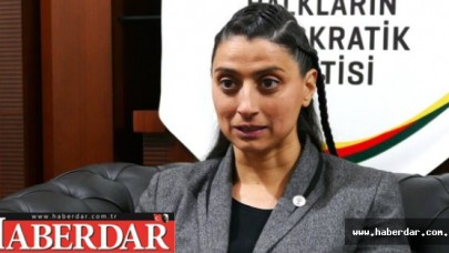 HDPden Baykala Özel Rica