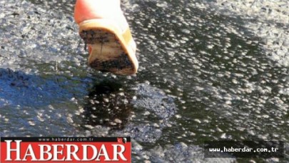 Marmariste sıcaktan asfalt eridi!