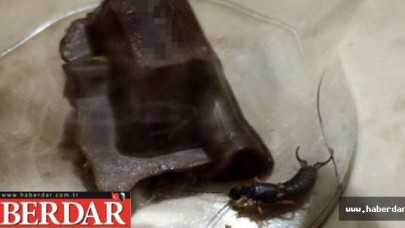 Çikolatadan çıkan böcek dilini soktu