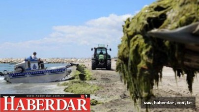 İBBden plaj açıklaması