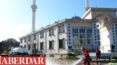 Bir Yılda Sivrisineklere Son!