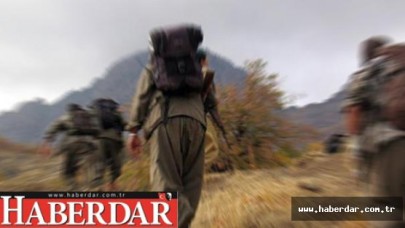 PKKya son kez silah bırak çağrısı