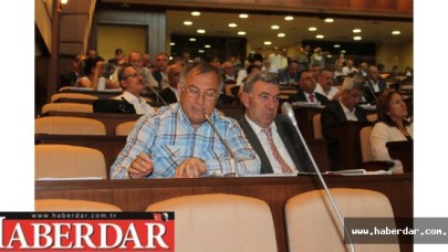 Kuzey Marmara Otoyolu  doğal bitki örtüsünü yok ediyor!