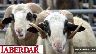 Kurban Kesimlerini Artık Devlet Denetleyecek