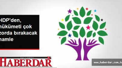 HDP, Hükümet Yetkilileri Hakkında BM Güvenlik Konseyine Dilekçe Sundu
