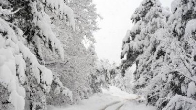 Yarından itibaren donacağız