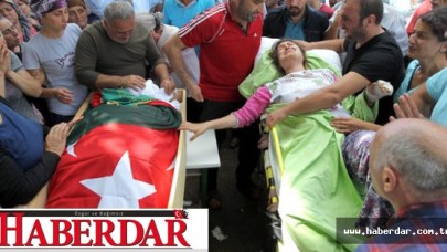 Artvindeki Facianın Asıl Nedeni Çay Bahçeleri