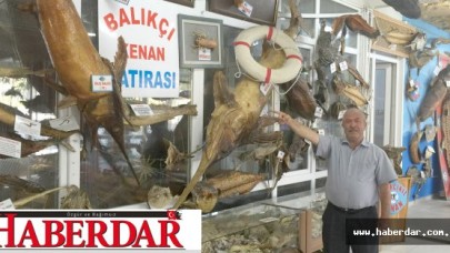 MUMYA BALIKLAR KIŞA HAZIR!