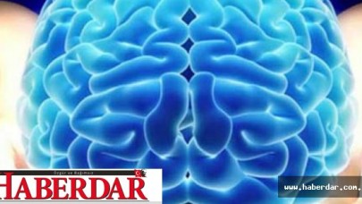 Laboratuvar ortamında insan beyni üretildi