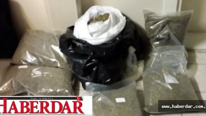 Otomobilin Koltuk Döşemelerinin İçinden Bonzai Çıktı