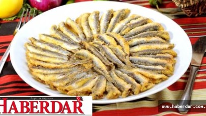 Av Yasağı 1 Eylülde Bitiyor, Bu Sene Hamsi Bol Olacak