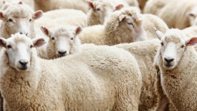 Bayram Tatili 9 Gün Oluyor