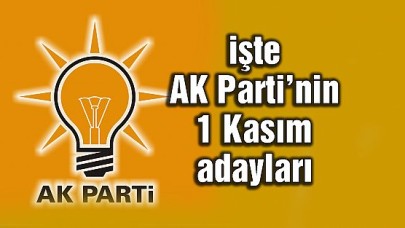 AK Parti 1 Kasım seçimlerindeki milletvekili adaylarını açıkladı
