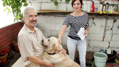 KÜÇÜKÇEKMECE BELEDİYESİ KEDİ VE KÖPEKLERİ AİLE SAHİBİ YAPIYOR