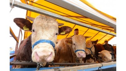 İHTİYAÇ SAHİPLERİ İÇİN KURBAN BAĞIŞ NOKTASI KURULDU