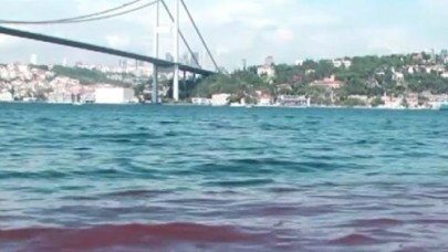 Kurban kanları yine İstanbul Boğazına aktı
