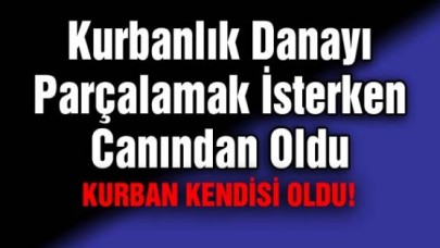 Kurbanlık Danayı Parçalamak İsterken Canından Oldu