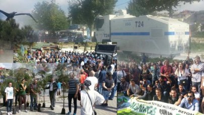 Ağaç yerine Tomalar Albatrosda!