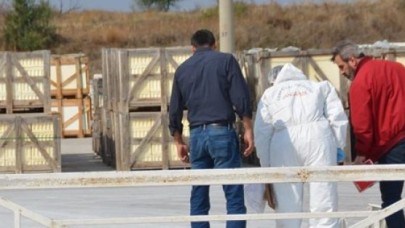 Güvenlik görevlisi öldürülmüş halde bulundu