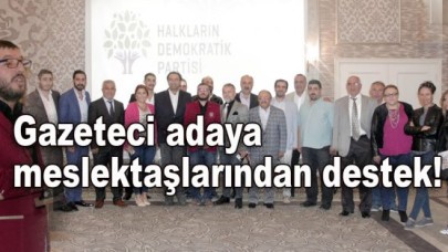 HDP, TÜRKİYE’NİN KAZANIMIDIR