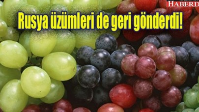 Rusya üzümleri de geri gönderdi!