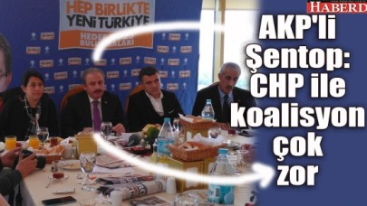 AKPli Şentop: CHP ile koalisyon çok zor