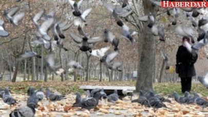 Avcılarda sahil ve orman havası bir arada