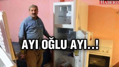 Aç kalan ayı eve girdi bal ile buzdolabındaki yiyecekleri yedi