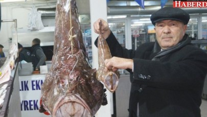 Marmara’da dev fener balığı yakalandı!