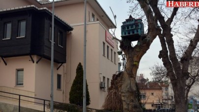 Büyükçekmece’nin kuşları üşümüyor