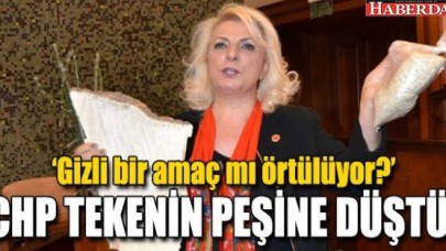 CHP TEKENİN PEŞİNE DÜŞTÜ!