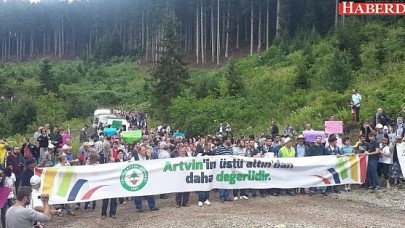 Cerattepe, Gezi ve Albatros!