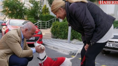 Evcil hayvan sahiplerine uyarı!