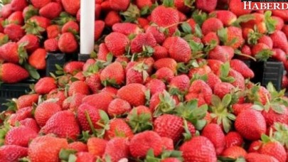 Çileklerdeki büyük tehlike!