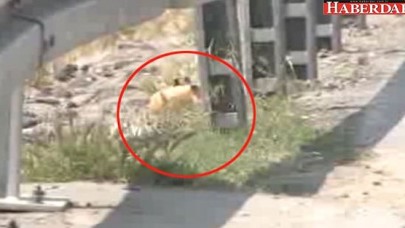 İstanbulda şüpheli paket! Yol kapandı...