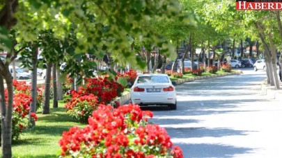 GÜLLER İÇİNDE BEYLİKDÜZÜ