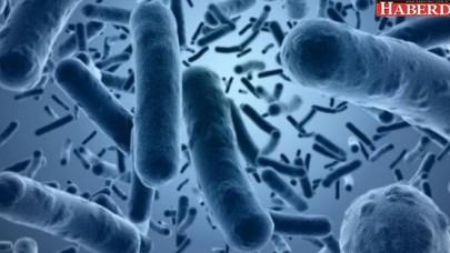 Göç nedeniyle bu virüs çoğalıyor!