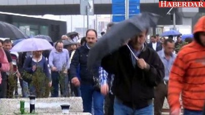 Haziran yağmuru serinlik getirdi