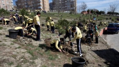 Minik eller ağaç dikti