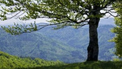 Sıcaklıklar artmaya devam ediyor