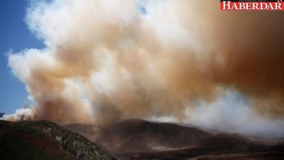 ABDde yangın: 82 bin kişi tahliye edildi