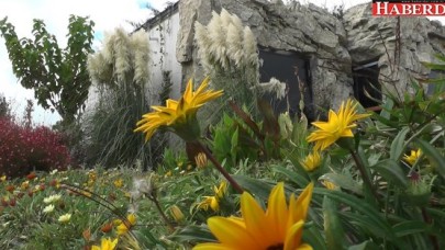 Büyükçekmecede &quot;Yeşil Çatı&quot; uygulaması